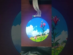 4 Inci Lingkaran LCD Display Modul 720x720 Titik IPS TFT Dengan 40 Pin FPC